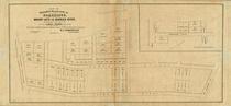 Page 124 - 125, James Brown 1865, Somerville and Surrounds 1843 to 1873 Survey Plans